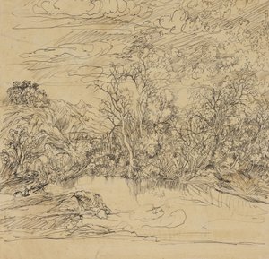 Bank of a Pond av Rodolphe Bresdin