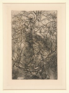 Grener av Rodolphe Bresdin