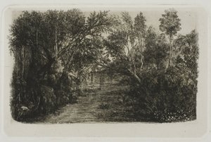 The Creek av Rodolphe Bresdin