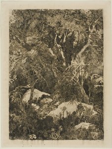 Skogen i Fontainebleau av Rodolphe Bresdin
