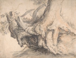 Studie av et tre, ca. 1606-7.
