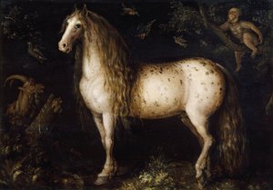 Den dapple grå, ca. 1625-1630