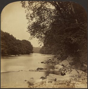  av Roger Fenton