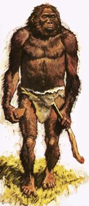  av Roger Payne