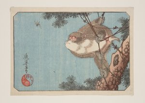 Monkey and Wasp (farget treblokktrykk) av Rokubei Rokubei