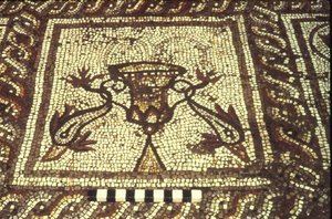 Delfinmosaikk, Insula XXVIII, bygning 3, 2. århundre f.Kr. (mosaikk) av Roman