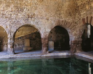 Frigidarium, Caldes de Montbui, Barcelona, ​​​​Spania, 2.-1. århundre f.Kr. (bilde) av Roman