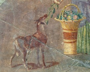Geit og kurv med frukt, freskomaleri fra Pompeii, Campania, Italia, romersk sivilisasjon av Roman