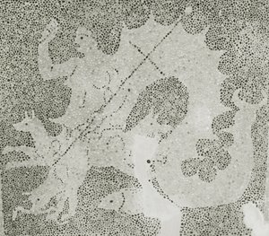 Hellenistisk rullesteinmosaikk av Scylla og Charybdis som vokter sundet, detalj av Scylla. House of Dionysos, Pafos, Kypros mosaikk av Roman