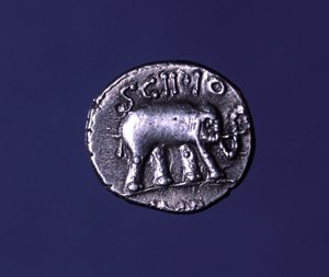 Sølvmynt som representerer en elefant, fetisjdyr fra Scipions. Lucius Caecilius Metellus grep de karthagiske elefantene i 251 f.Kr. 47-46 f.Kr. av Roman