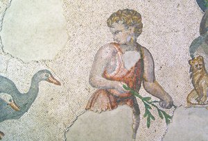Ukjent bilde av Roman