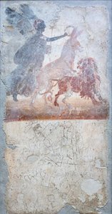 Et esel som penetrerer en løve er kronet av gudinnen Victoria, under en graffiti med gladiatorkamp, insigna av en butikk av Roman Roman