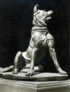 Bullmastiff-hund (marmor) av Roman Roman