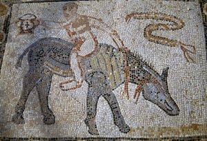 Desultor (idrettsutøver som hoppet fra en hest til en annen under løp) rir esel baklengs og holder opp kantharos (vinnerkoppen), mosaikk i House of Desultor i den romerske byen Volubilis (UNESCOs verdensarvliste av Roman Roman
