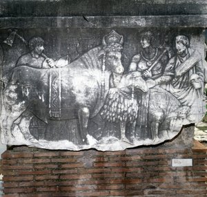 Foro Romano: Suovetaurile (ofring av en gris, en vær og en okse). Roma av Roman Roman