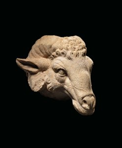 Hodet til en ram, ca. 1. århundre f.Kr. - 1. århundre e.Kr. (marmor) av Roman Roman