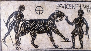 Tigertemmere i veggene til Colosseum - romersk mosaikk av Roman Roman