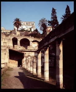 Utsikt over palestra, 5. århundre f.Kr.-1. århundre e.Kr av Roman Roman
