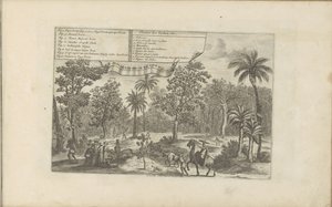 Bomen en specerijen Indiske planter, etc / Indiaensche kruyden, etc (tittel på objekt) Øst- og Vestindia og andre steder (serietittel) av Romeyn de Hooghe