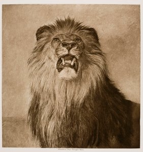  av Rosa Bonheur