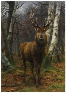 Kongen av skogen, 1878