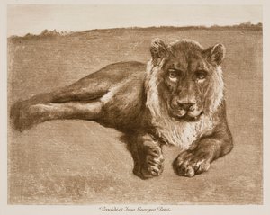  av Rosa Bonheur