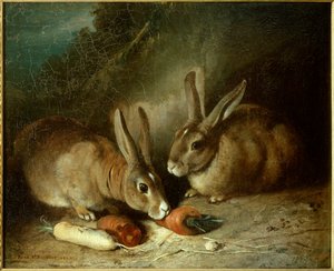 Kaniner. Maleri av Rosa Bonheur (1822-1899)