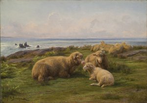 Sauer ved havet av Rosa Bonheur