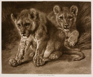  av Rosa Bonheur