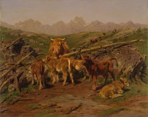 Avvenning av kalvene, 1879.