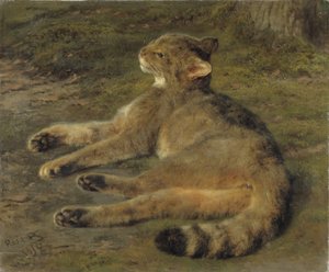 Villkatt, 1850