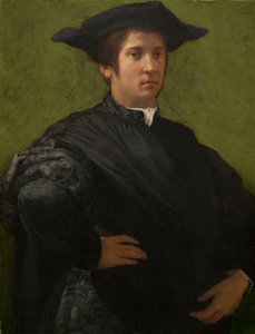 Portrett av en mann av Rosso Fiorentino