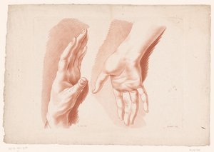 To hender Prinsipper for å tegne fra naturen, del åtte (serietittel) VIII. Cahier de Principes du Design d
