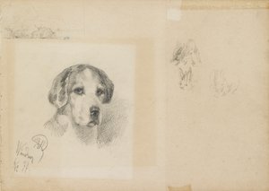 Portrett av en hund: Windsor, 1877 av Rudolf Wimmer
