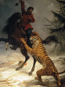 Sibirsk tiger angriper en kosakk