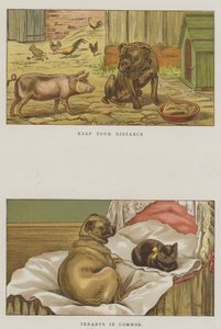 Humoristiske hunder (chromolitho)