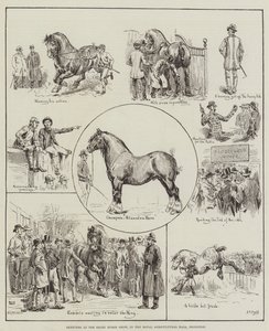 Skisser på Shire Horse Show, i Royal Agricultural Hall, Islington