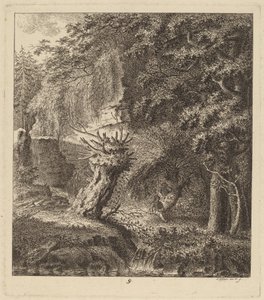 Skogkledd landskap med et pollardet tre, 1764.