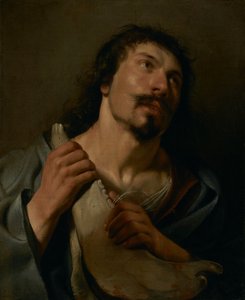  av Salomon de Bray
