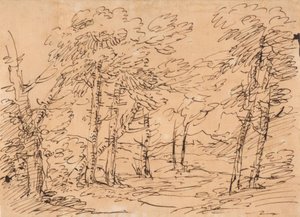 Landskap med trær og fjell i bakgrunnen av Salvator Rosa