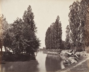 Elv med trær (India) av Samuel Bourne