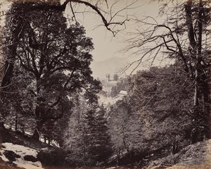 Shimla. Kirken gjennom trærne, fra Jakko av Samuel Bourne