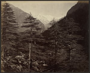 Snødekte topper nær Gangotri, fra Bhairamghati av Samuel Bourne