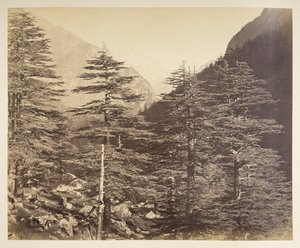 Snødekte topper nær Gangootri fra Bhairamghati. Fotograf: Bourne, Samuel Album med fotografier av India, hovedsakelig av Samuel Bourne1866 av Samuel Bourne