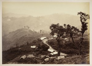 Teendari Bazaar, Darjeeling, fra 'Views of Darjeeling', 1860 - 1880 (s/hvitt-bilde) av Samuel Bourne