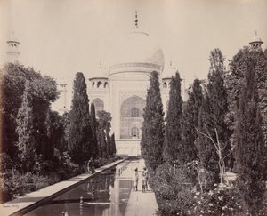Taj