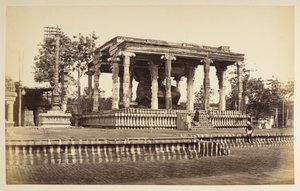 Den store steinoksen, Tanjore