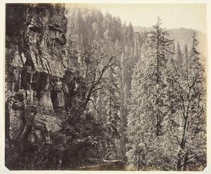 Uten tittel [klipper og trær], ca. 1865. av Samuel Bourne