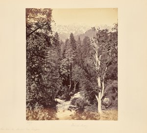  av Samuel Bourne