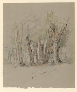 Cypress Trees of Chapultepec, Mexico av Samuel Colman